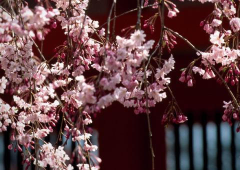 お問い合わせ CONTACT